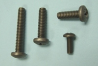 Titanium Pan Head Phillips Machine Screw